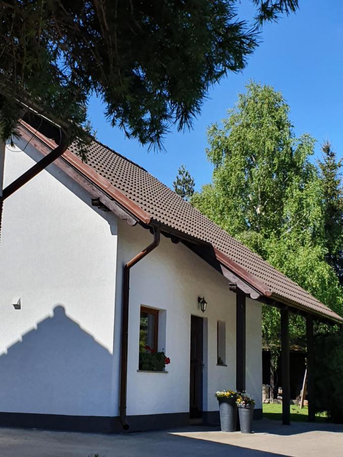 Domek Karkonoskie Historie มิสลาโกวิเซ ภายนอก รูปภาพ